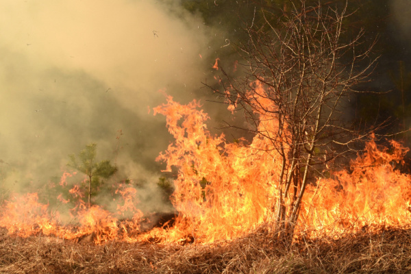 You are currently viewing Prévention et lutte contre les incendies : renforcement de la réglementation