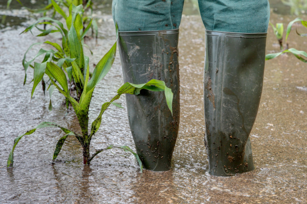 inondationagriculteur