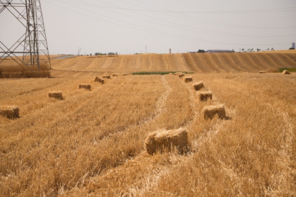 agribailrural