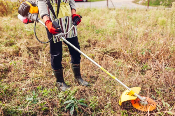 debroussaillementjardinparticulier