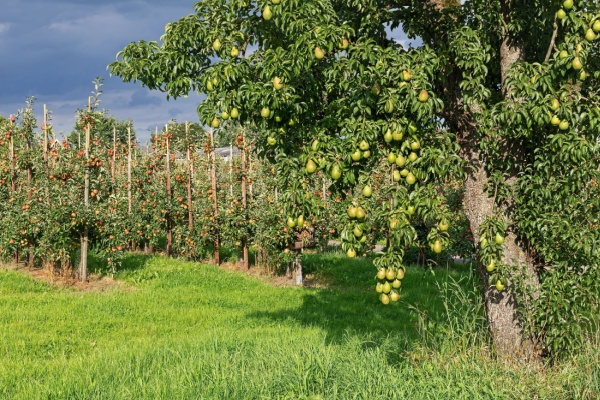 aidesagriculteurssoldecampagne2023