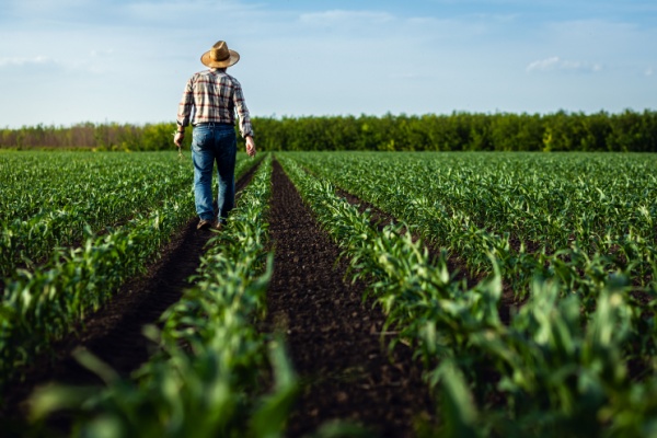 shutterstock_aidesagriculture